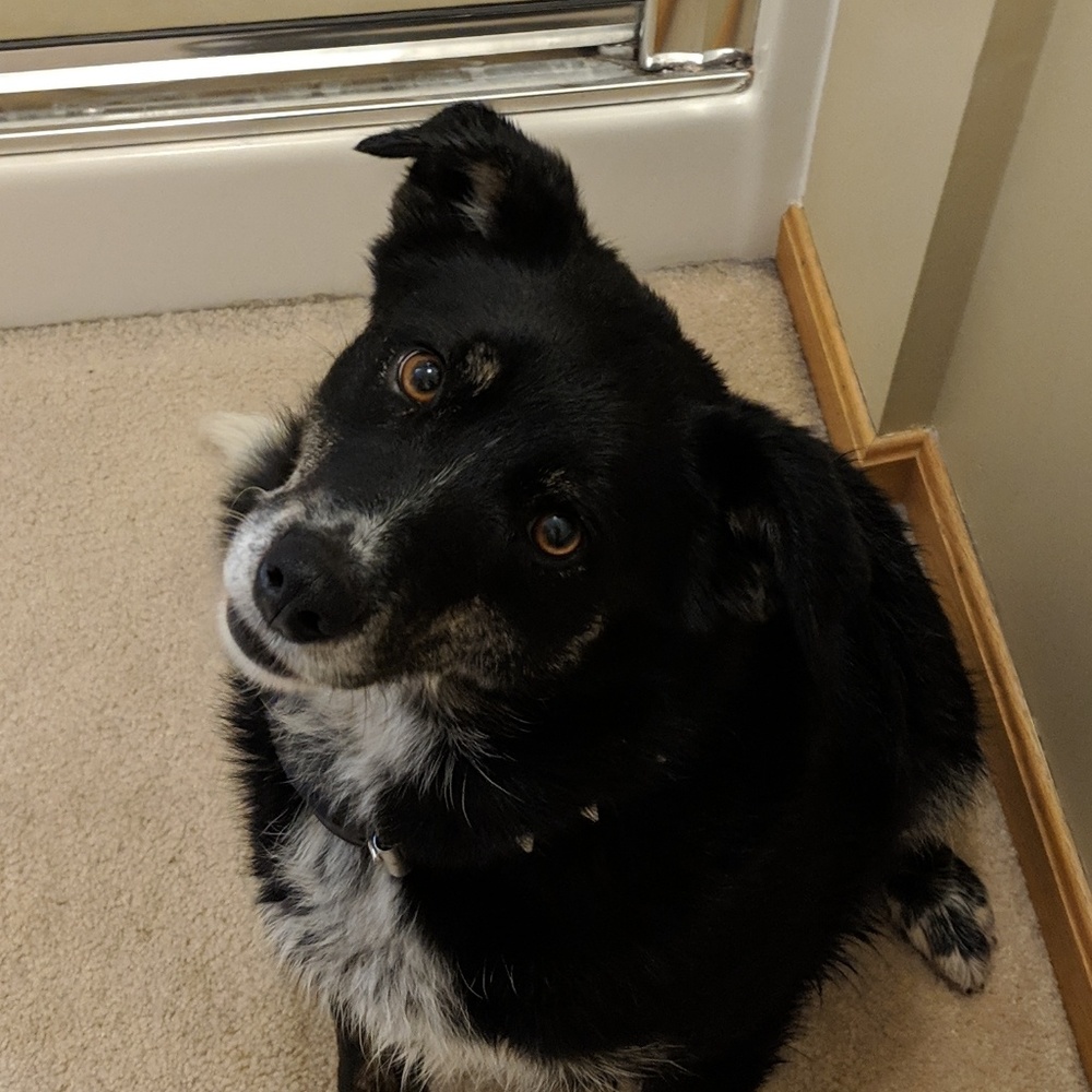 Meet your Posher, Alysia